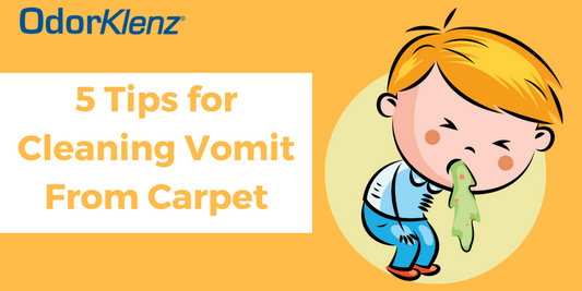 how to remove vomit smell from carpetcleaning vomit smell from carpetremoving vomit odors from carpet