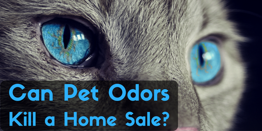 Can Pet Odors Kill a Home Sale?Are you nose blind to pet odors in your home? Are you nose blind to pet odors in your Home?
