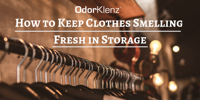How to Keep Clothes Smelling Fresh in Storage – Odorklenz