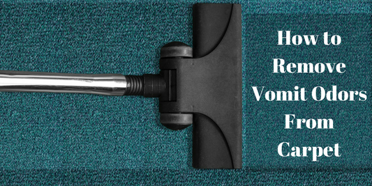 removing the smell of vomitget rid of vomit odorhow to neutralize vomit smell