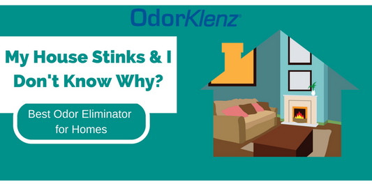 My House Stinks & I Don't Know Why- Best Odor Eliminator for HomesMy House Smells Musty Do I Have Mold_