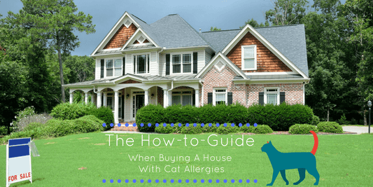 Identifying Cat Allergy SymptomsIdentifying Cat Allergy Symptoms