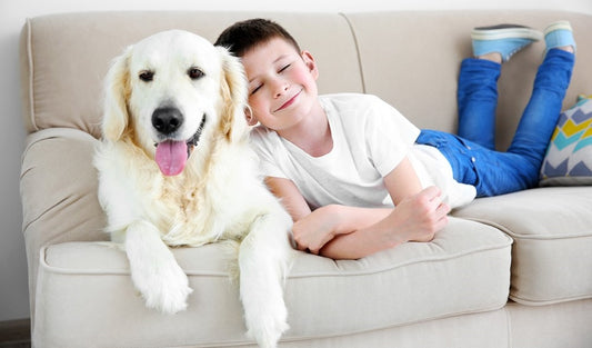 boy with a dog on the couchcleaning stain from couchOdorKlenz Source Odor Treatment