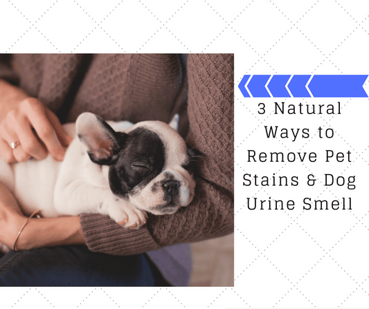 3 Natural Ways to Remove Pet Stains & Dog Urine SmellHow to Get Rid of Dog Pee OdorNatural Hacks for Pet Pee StainsOdor Cleaners to AvoidPet Stain & Odor Cleaners to Avoid