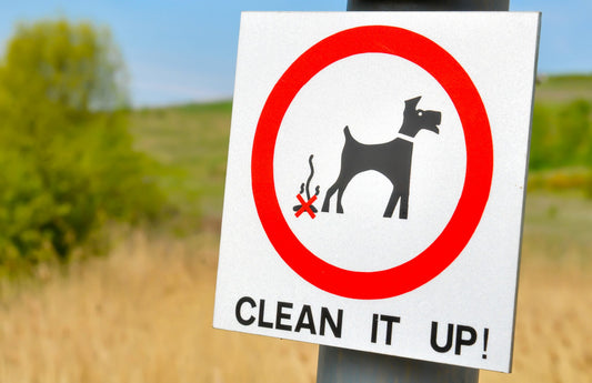 pet odor removalremove pet smells