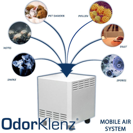 best air purifier for pet allergiesAir Purifiers for Allergies and Pet Danderbest air purifier for pet dander