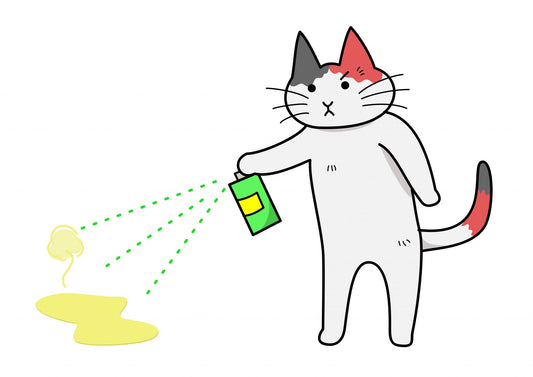 how to get rid of cat smellhow to clean cat spray off wallsbuy OdorKlenz products