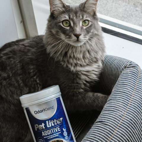 PET LITTER ADDITIVE