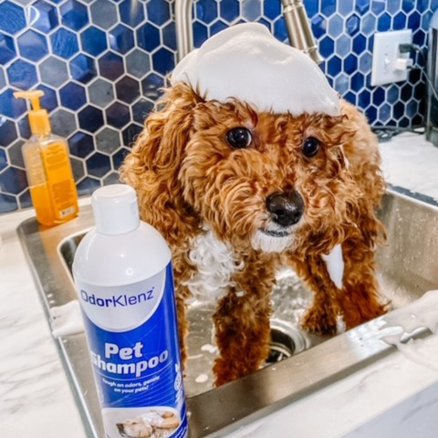 PET SHAMPOO