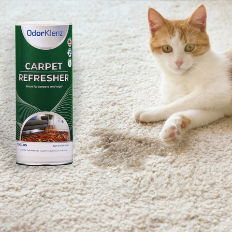 CARPET & RUG REFERESHER