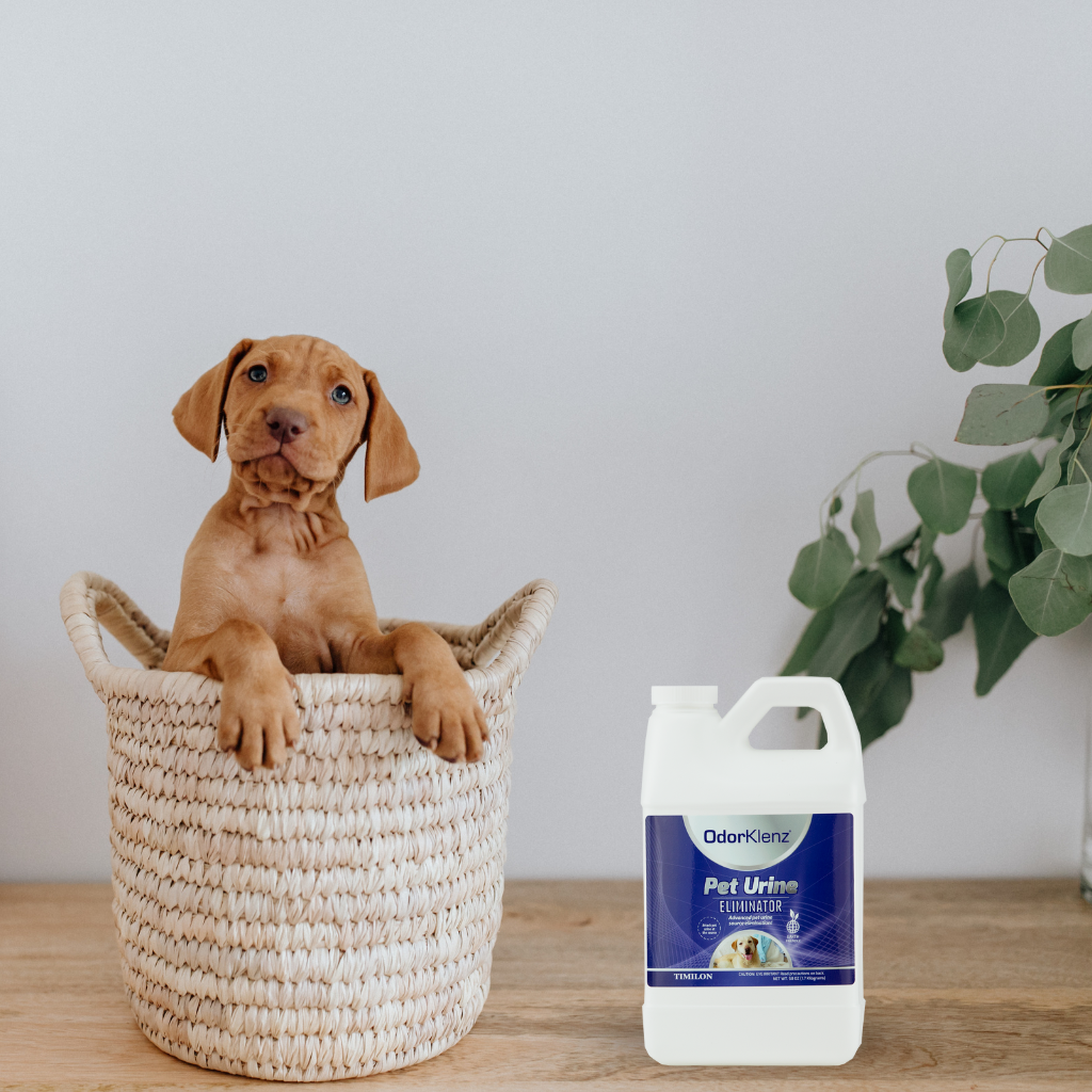 PET URINE ELIMINATOR