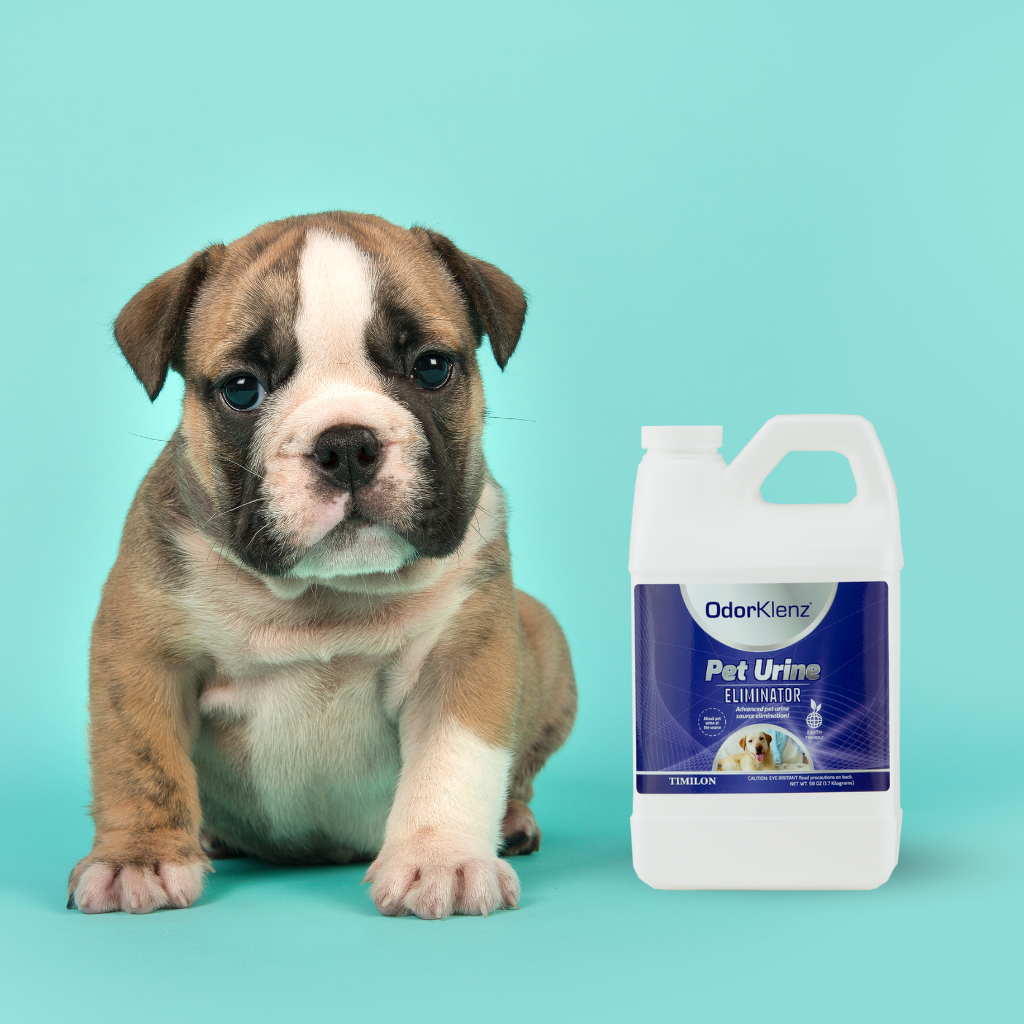 PET URINE ELIMINATOR