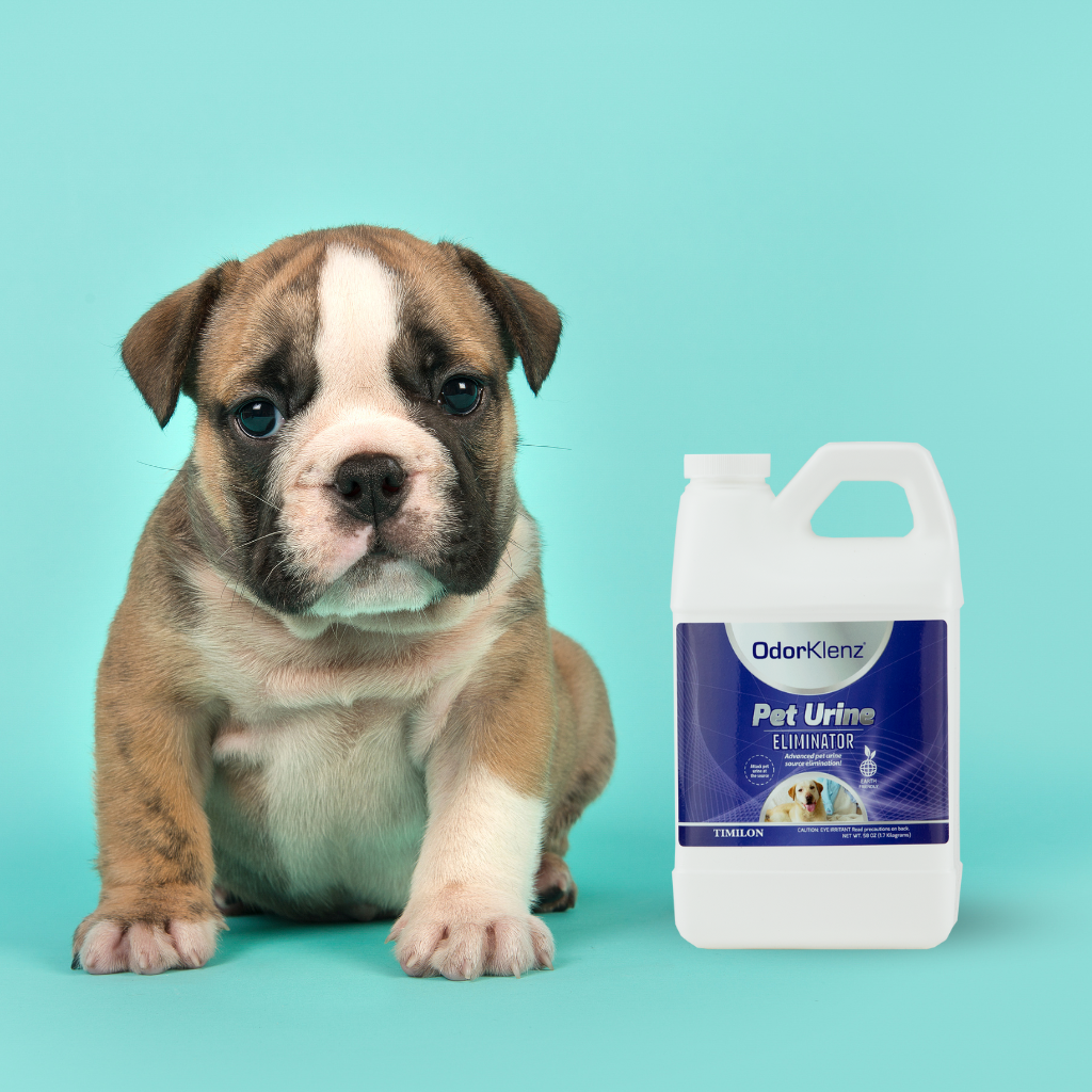Best dog urine eliminator hot sale