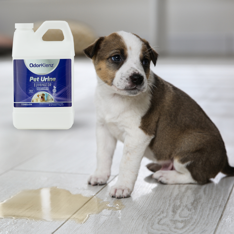 PET URINE ELIMINATOR